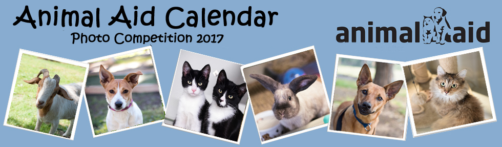 Animal Aid Calendar Contest - 360 Photo Contest